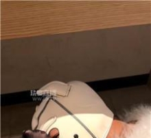 【调教视频】【子琳】品尝酸臭黑丝jio JS260220-6