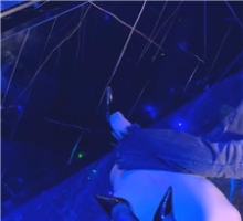 【coco】台湾女神KTV狂虐 89787