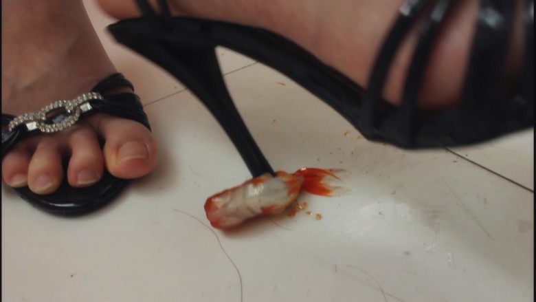 110052ohmxlmmqxt6hinzd.jpg 110052ohmxlmmqxt6hinzd.jpg