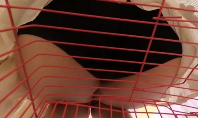 094006bv146ufzheua92ff.jpg 094006bv146ufzheua92ff.jpg